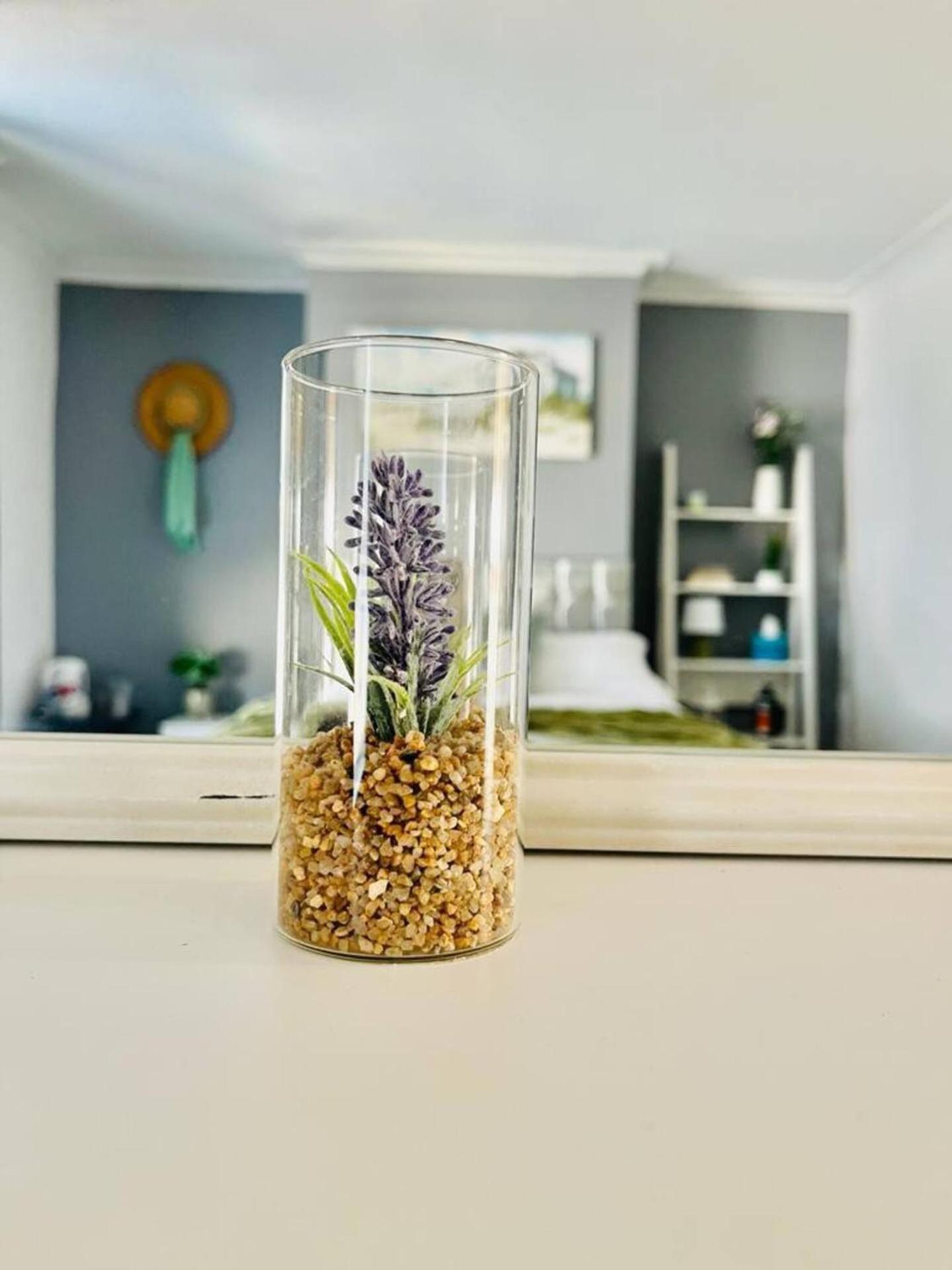 Alver House 포츠머스 외부 사진